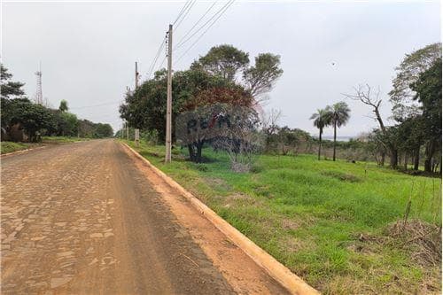 10 hectáreas en venta - San Juan del Paraná, foto 4