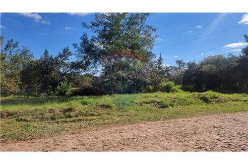 Terreno en limpio – isla aveiro — foto 5