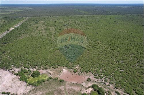 Campo 3.749 Has. 7800 m2- Pte. Hayes Ruta Ñ, foto 2
