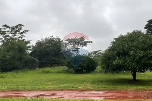 Terreno en venta en Ypané, zona Thompson 12x30 m, foto 2