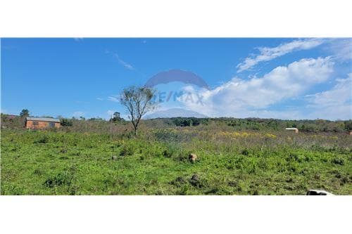 En venta terrenos en la ciudad de loma grande — foto 4