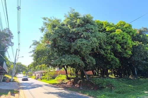 En venta terreno estrategico en caacupe