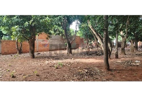 Terreno en venta – Zona Marin Ka'aguy, foto 3