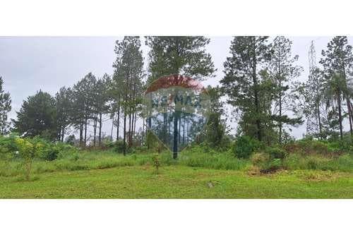 Amplio terreno en venta - Trinidad