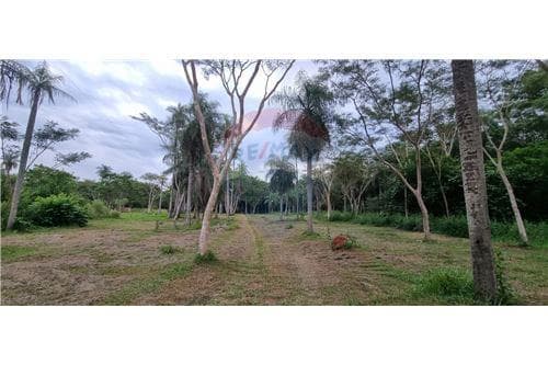 1 hectareas en yaguaron — foto 2