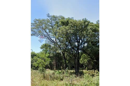Terreno en san juan del parana — foto 3