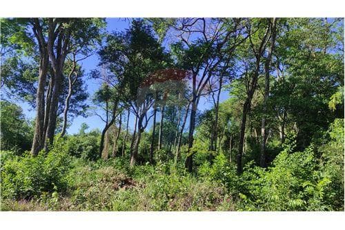 Terreno en arroyo pora — foto 2