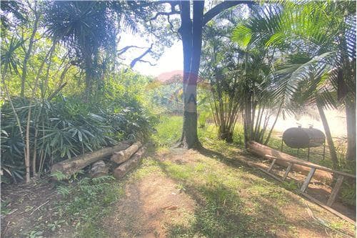 Terreno en venta – Zona Isla Verde,Luque — foto 3