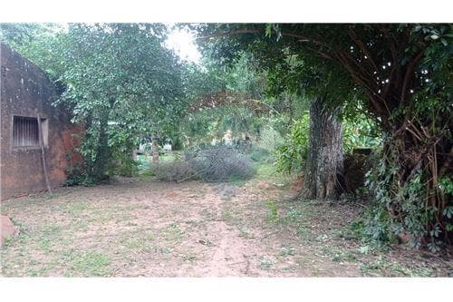📣terreno de 1.079 m2 en el distrito san juan bautista - misiones‼️ — foto 3