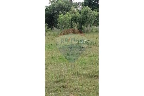 Terreno 1662m2 en el centro de san ignacio — foto 4