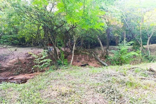 Remato terreno de 1170 m2 a metros de acceso sur — foto 2