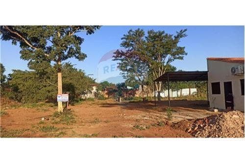 Amplio terreno en Villa del agronomo,S L — foto 3