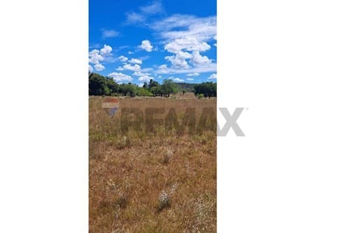 Terreno en pirayu - paraguari — foto 2