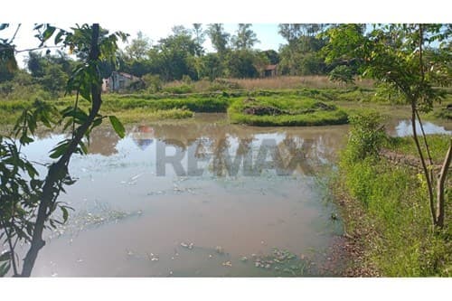 En venta propiedad de 4 hectáreas — foto 5