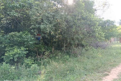 Terreno en venta- paraguari