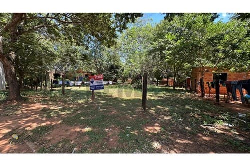 Terreno - isla bogado Luque, foto 5