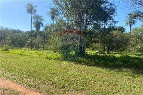 Terreno Atyra "Quinta" Fracción Belv — foto 5