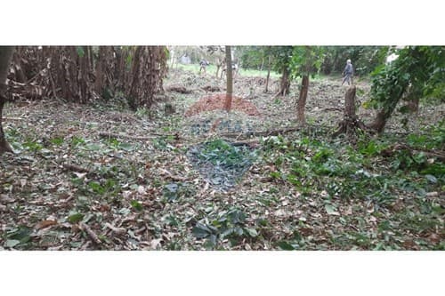1440 m2 en San Bernardino z. Avda ciervo cua — foto principal