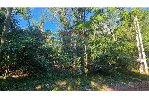 Terreno a 200mts del lago ypacarai — foto 2