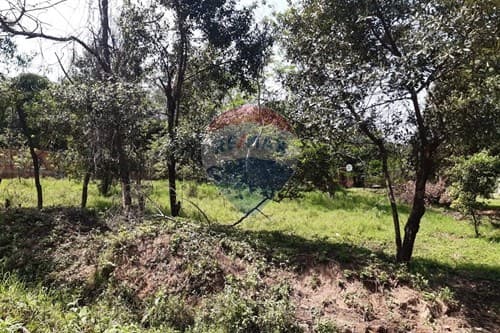 3 TERRENO EN Luque junto o separados — foto 2
