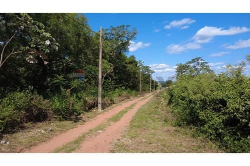 1.8 has camino Luque - San Bernardino — foto 3