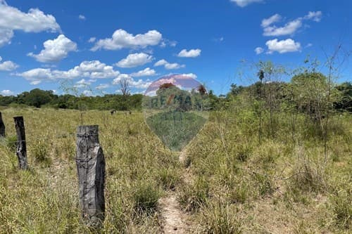 "Terreno en Venta: 4612m² en Villa Oliva — foto 4