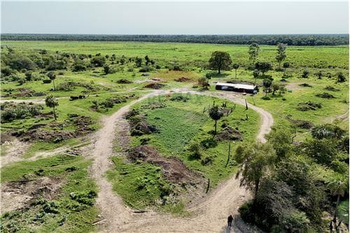 En venta 50 hectareas en jose falcon — foto 5