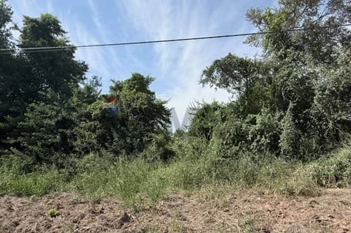 Terreno en Filadelfia, foto 2