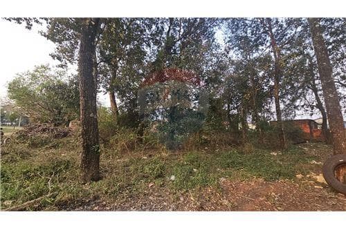En venta terrenos en la mejor zona de caaguazu — foto 4
