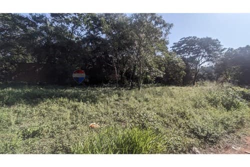 Terreno en Luque, Marin Ka'aguy — foto 2