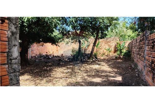 Terreno amurallado y construcción a terminar — foto 4