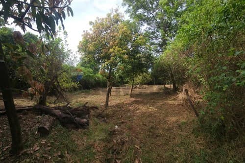 ¡Terreno en Itauguá! 1102 m² en Zona Estratégica — foto 5