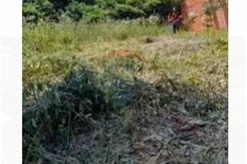 de Terreno en Cañada, Ypane — foto 4
