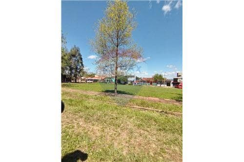 Terreno cerca costanera san isidro — foto 3