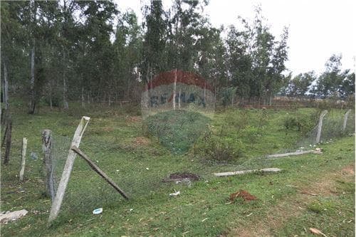 Un gran terreno en iturbe, foto 3