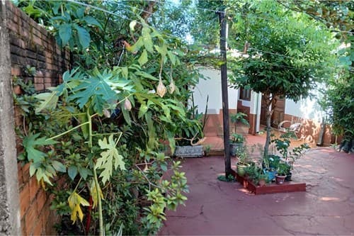"Propiedad Multifuncional en Venta" — foto 5