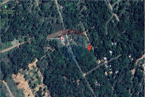 3 lotes juntos - Ciervo Cua San Bernardino — foto 3