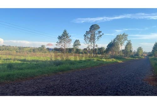 Terreno en venta km16 monday- minga guazu