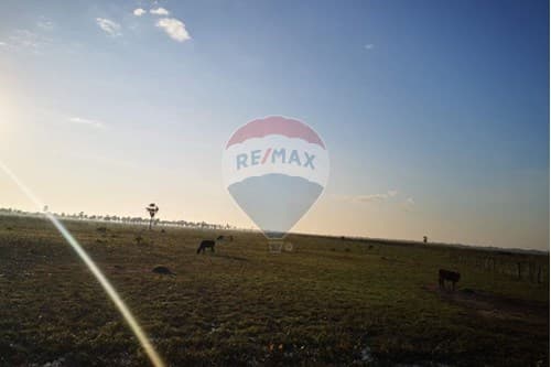 Terreno de 7 Hectáreas en Benjamín Aceval — foto 3