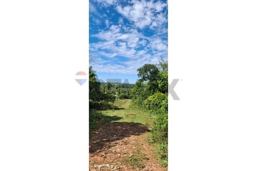 Terreno en Venta en Loma Grande — foto 4