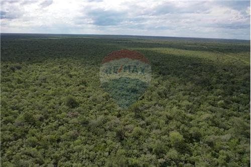 3.974 hectáreas de monte en bahía negra — foto 4