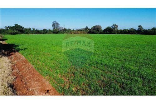 Terreno en venta - compañía san blas independencia — foto 3