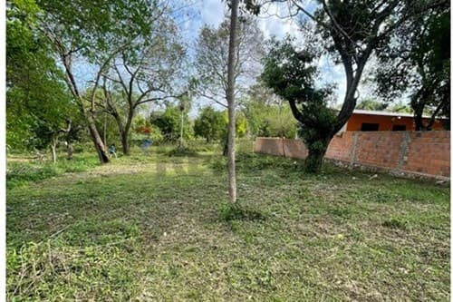 De terreno en limpio – zona don bosco — foto 4