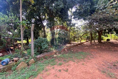 Terreno en venta de 3.270 mt2 en Itauguá — foto 3