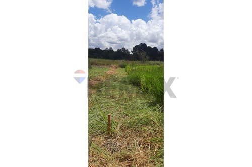 Terreno en venta km16 monday- minga guazu — foto 3