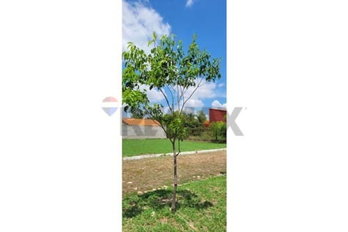 Terreno en venta – limpio, foto 2