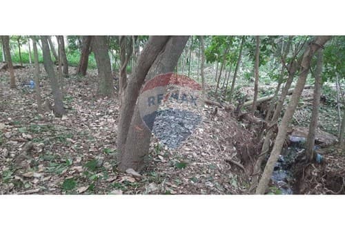 1440 m2 en San Bernardino z. Avda ciervo cua — foto 2