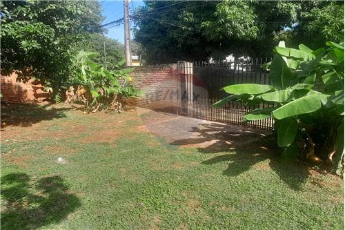 Excelente Oportunidad Vendo Lote en Ñemby — foto 4