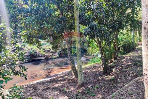 Terreno en Ytumi - Caacupé Cordillera — foto 5