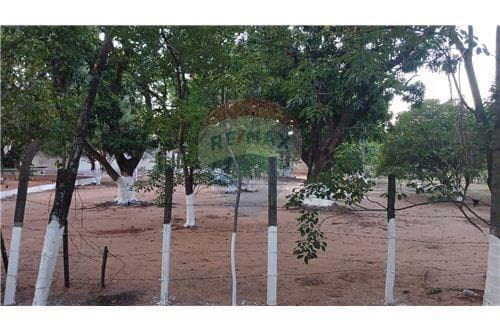 Amplio terreno en Mariano Roque Alonso, foto 3